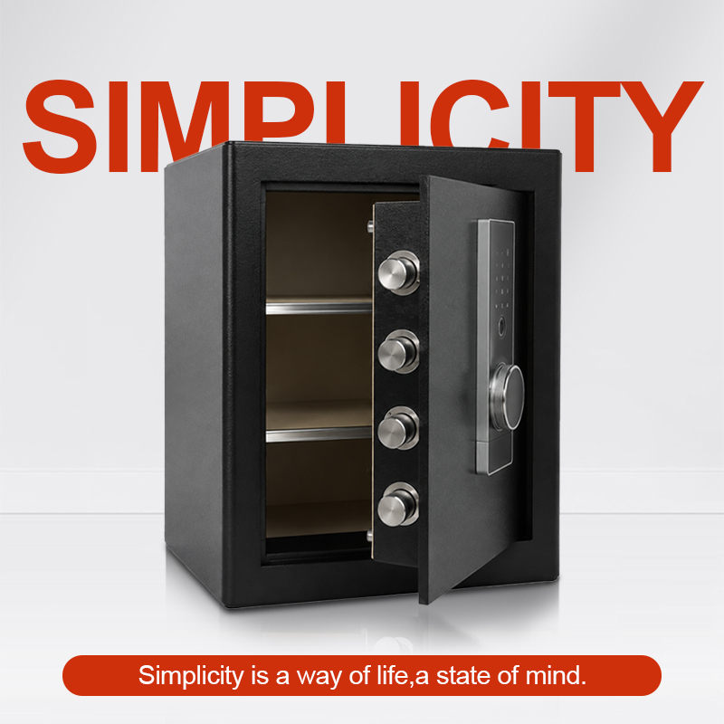 Biometric Fingerprint Safe Box - Home Security Battery 评论和价格
