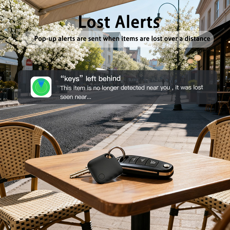 Vivilife IOS Tracker For Apple - Home Security In My Area 评论和价格