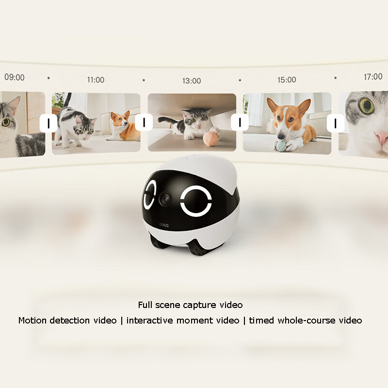 Home Security Pet Tumbler Desi - Home Security Robot 评论和价格
